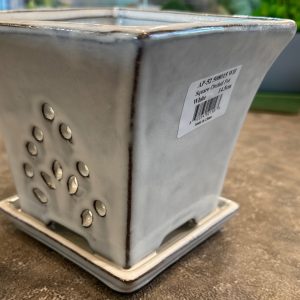 SQUARE ORCHID POT 14.5 cm