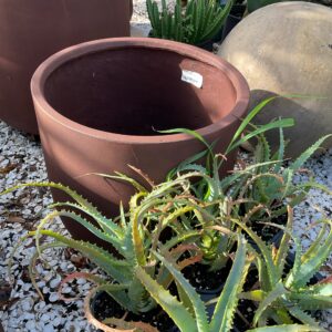 ROUND PLANTER IRON RUST MD