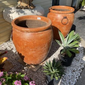 Papaya W/Iron Handles