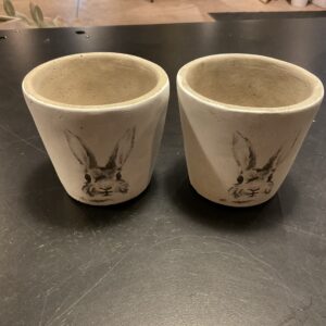 RABBIT POT