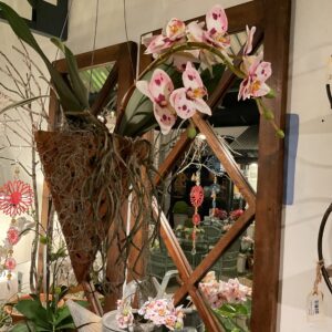 HANGING ORCHID POT