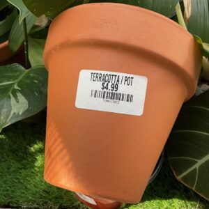 TERRACOTTA SM POT