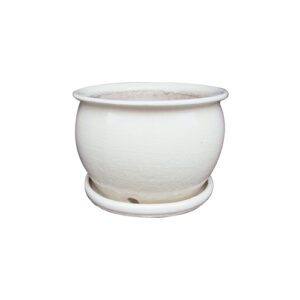 BLUE - 11" FISH BOWL ATTACHED SAUCER POT (1)