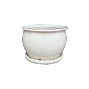 AQUA - 9" FISH BOWL ATTACHED SAUCER POT (1) (1) (1)