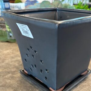 SQUARE ORCHID POT 20 cm