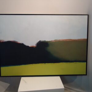 SONDERSHEDGEMAZE - 35" X37"-HD224