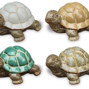 TURTLE ASSORT