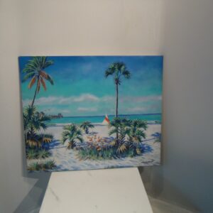 SHELLING BAREFOOT BEACH